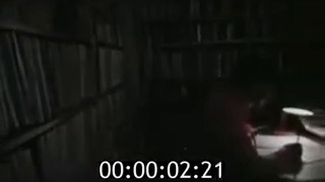 Одержимость (1981)