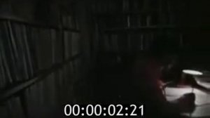 Одержимость (1981)