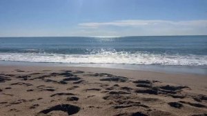 Шум моря… расслабляющий шум моря. Звуки моря #шумморя