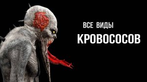 5 видов Кровососов - STALKER