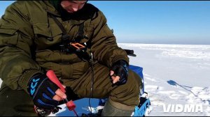 Жидилов бор. Псковское озеро. Поиск судака.