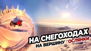 НА СНЕГОХОДАХ на вершину горы Ослянки с Джип59.рф Insta360