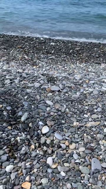 Медузы на Чёрном море #всочиумаши