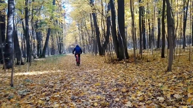 МТВлог Атмосфера раннего утра смотреть онлайн