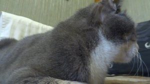 Планы на будущее