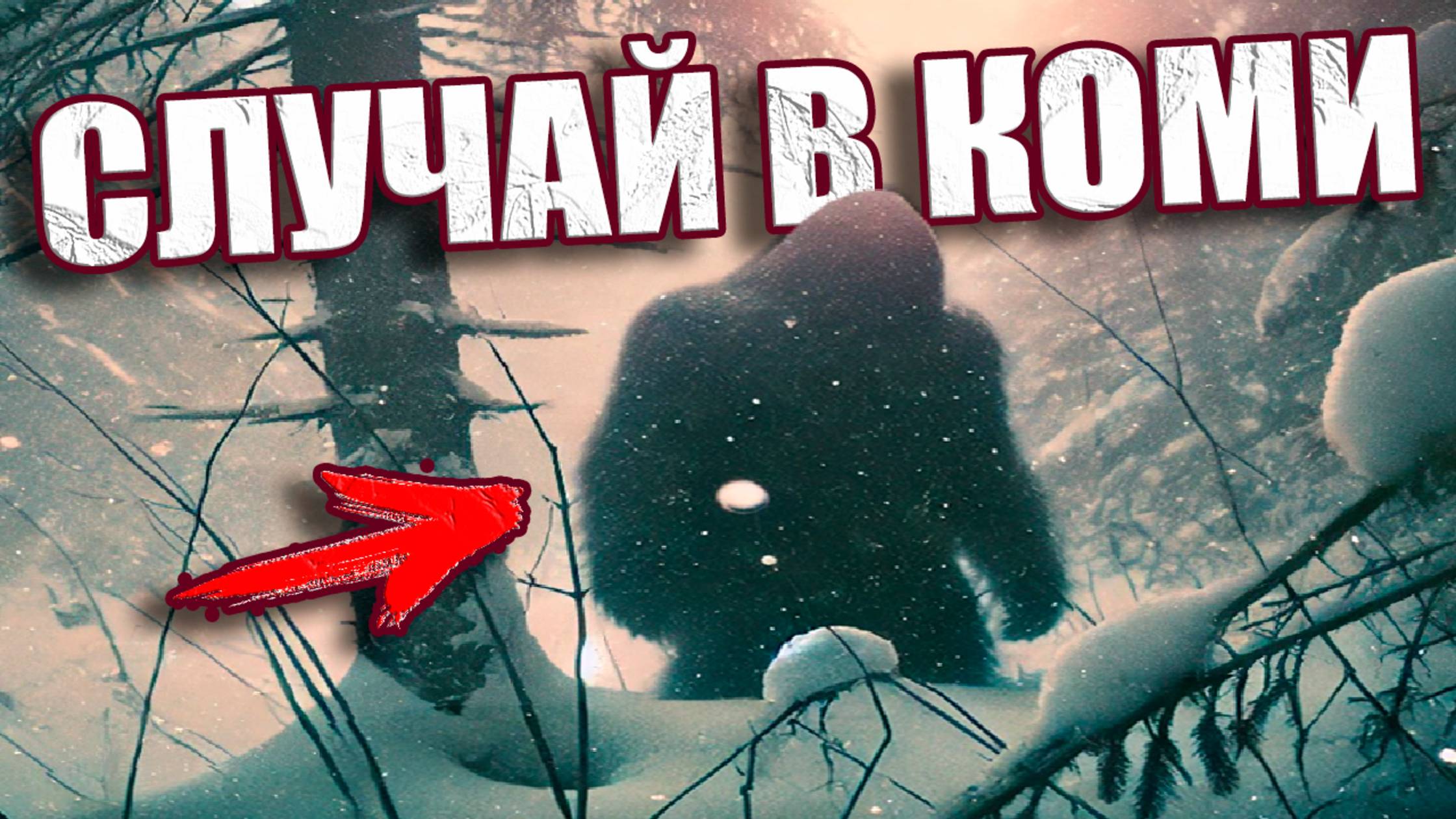 Снежный человек на севере Коми? Старые легенды или свежие доказательства?