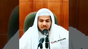 АЛЛАХ ЛЮБИТ ТЕБЯ