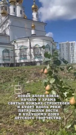 Яблони и груши появились на деревьях, расположенных на фруктовой аллее в Академическом.