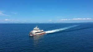 МСС авангард