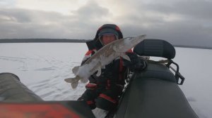 FISHING__16_02_2025 ПОИСК И ЛОВЛЯ СУДАКА.