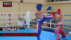 Чемпионат и первенство ЦФО по кикбоксингу прошло в Истре