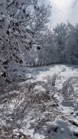 Очаровало меня это место просто нереально #