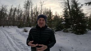 Правила драки работают и в спорте