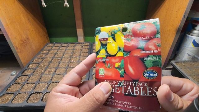 Los Mejores Tomates 🍅 Criollos