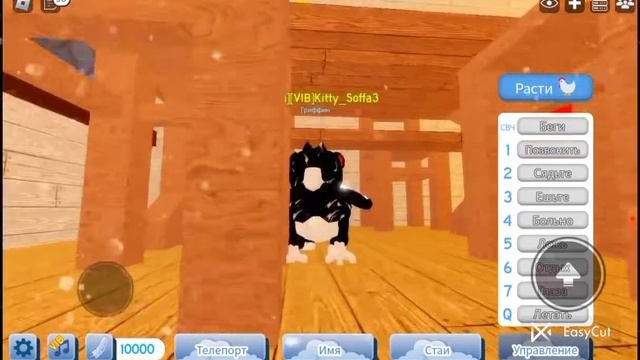 Работающие ID коди на музыку у FEATHER FAMILY. (2022) смотреть онлайн