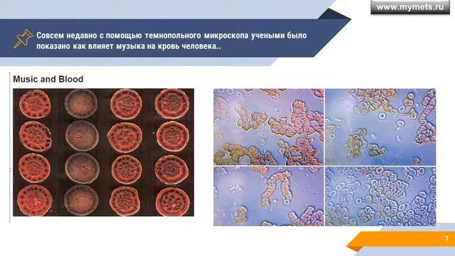 Программы МЭЦ