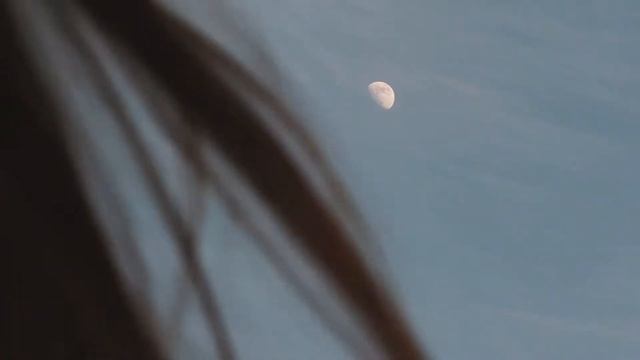 Прохладный весенний видео-портрет смотреть онлайн