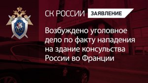 Возбуждено уголовное дело по факту нападения на здание консульства России во Франции