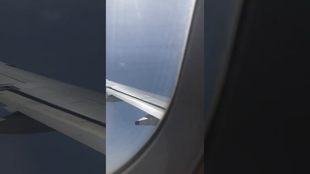Vanaras to delhi indigo flight