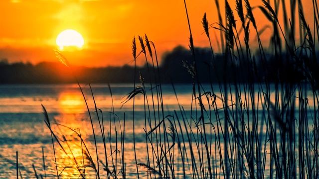 Roger Martinez: Chinguarime (Donatello Remix) смотреть онлайн