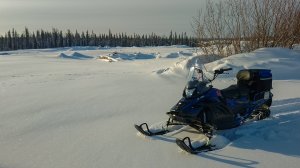 ТУМАНОВСКИЙ ТРАКТ