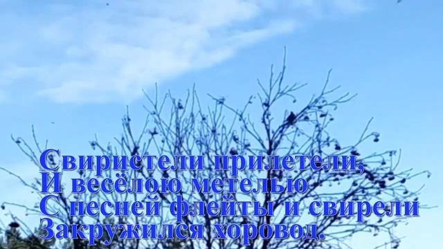 Свиристели прилетели! смотреть онлайн