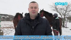 МКЗ №1 передал двух лошадей конноспортивной секции Верхнеднепровской спортивной школы.