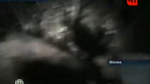 Бобры в УРАО смотреть онлайн