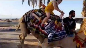 Отдых в Израиле на Мёртвом море.#israel #vlog