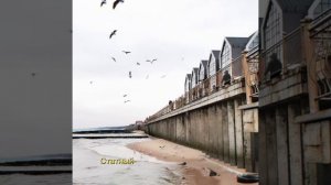 Serges — 39 царство