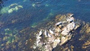 Где-то в Японском море, на берегу Приморского края. Море, скалы, ларги