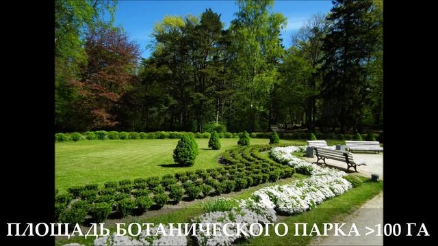 Балтийская жемчужина Паланга (Литва). Гид Витис - к Вашим услугам! смотреть онлайн