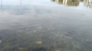 #2 Севастополь бухта , рыбацкий причал !!!