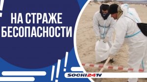 СОЧИНСКИЕ УЧЕНЫЕ ОБСЛЕДОВАЛИ МЕСТО РАЗЛИВА МАЗУТА В ЧЕРНОМ МОРЕ