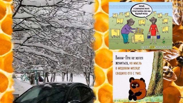 КАК Я НЕ СЪЕЗДИЛ НА ПАСЕКУ ...))) смотреть онлайн