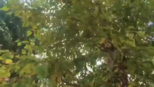 Обращение кандидата в депутаты собрания депутатов Карабашского городского округа Александра Юшкова