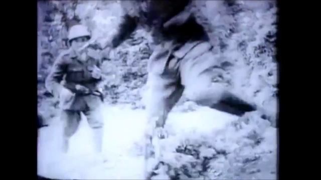 о Великой Отечественной Войне