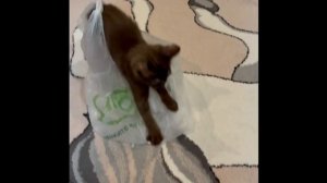 🎥 Давайте знакомиться ближе! 💖