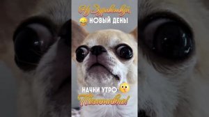 ХихиЧпок Юмор