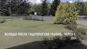 Гидропосев в Московском городском Гольф Клубе
