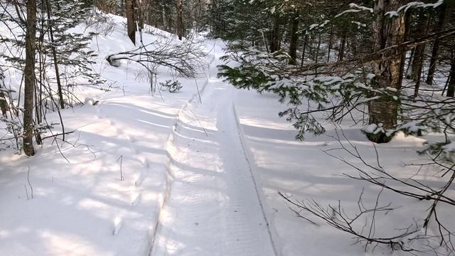 Снегоход и лес + муз