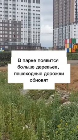 Благоустройство второй очереди Преображенского парка стартовало