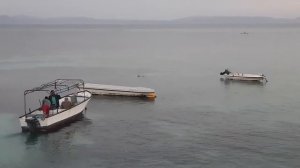 Вечерняя рыбалка в Дахабе.