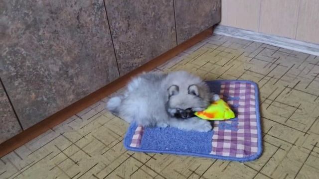 2_5327991803536761896 смотреть онлайн