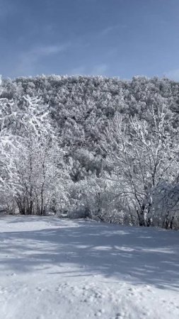 Швейцария эт второй Табасаран #табасаран#табасаранскаясвадьба