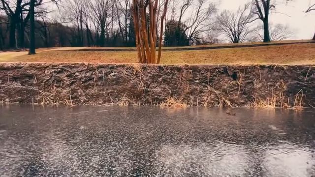 the sound of the rain is a cure for the sadness of the insomnia of emotional stress. смотреть онлайн