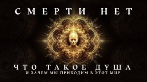 Смерти не существует? Или нам просто не говорят всей правды?