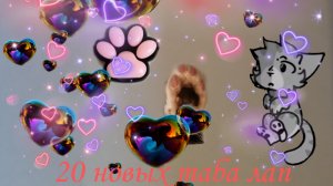 20 новых таба лад для пушистого Серого кота Барсика очень интересно