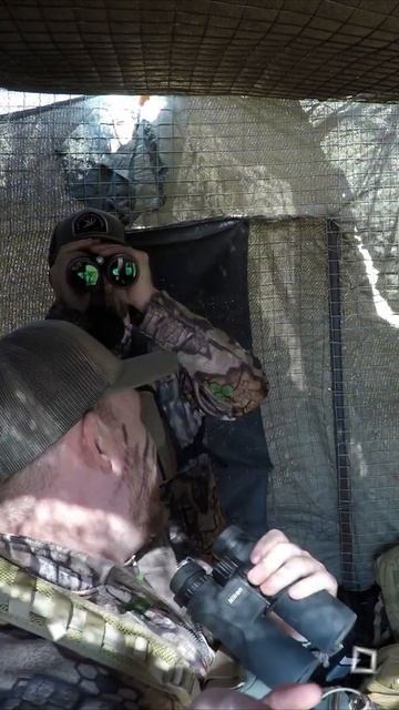 African Bush Sounds  Hunting Friendship  Arrowhead Africa  short  26