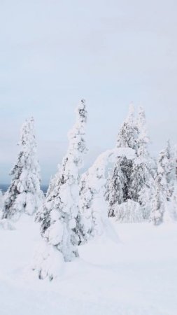 Приключения в Карелии